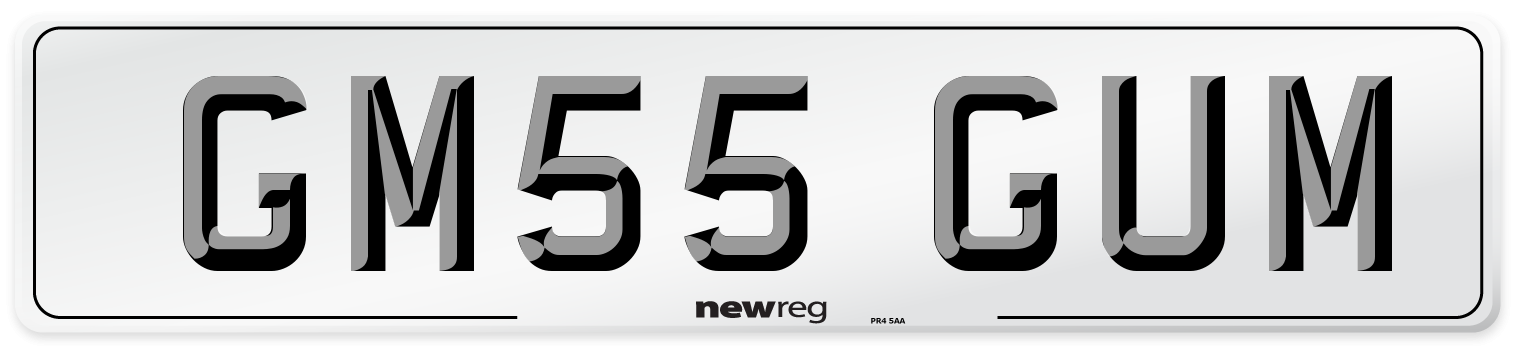 GM55 GUM Number Plate from New Reg